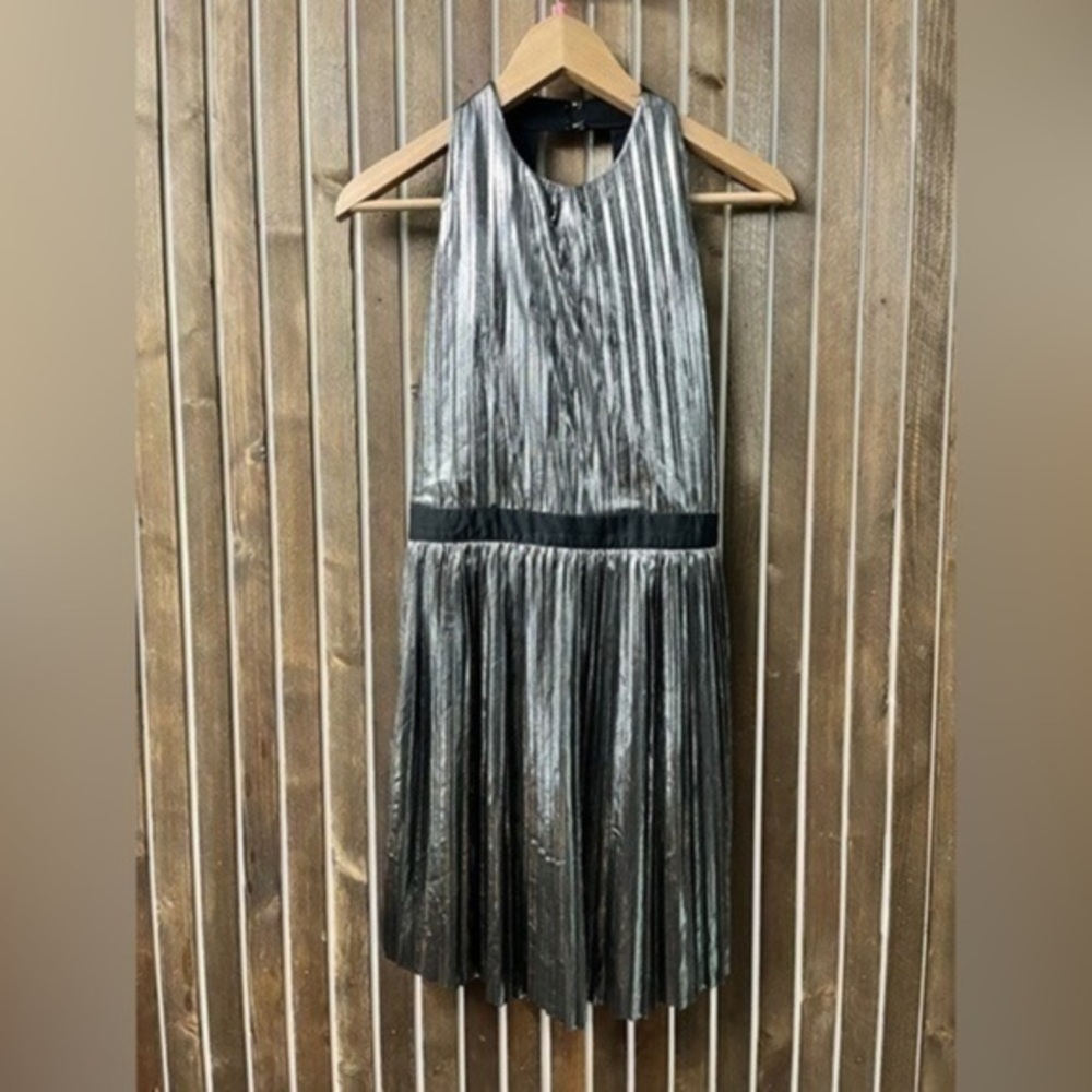 3/$30 _ GENTLE FAWN | LORETTA silver metallic pleated mini dress open back Small